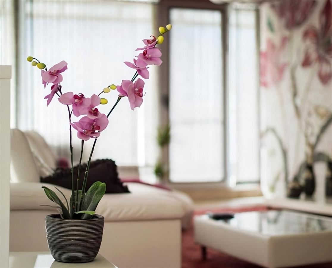 Luxury Apartments Burgas Esterno foto